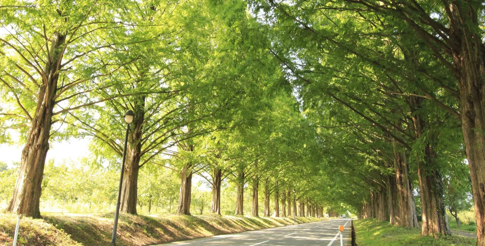 🏞️ 유신 백년 기념 공원(이신햐쿠넨키넨코엔) 이미지 7